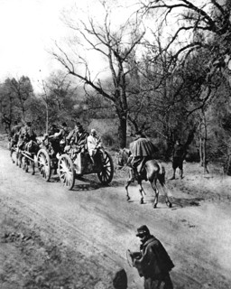 Première Guerre Mondiale. Un convoi de ravitaillement d'artillerie se rend au bois Le-Prêtre