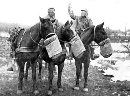 World War I. During a poison gas attack, horses like men, wear gas masks (1917)