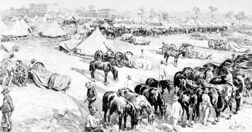 L'artillerie américaine au camp de Tampa (1898)