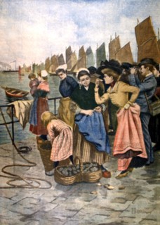 Oyster-farming in Cancale, Brittany (1902)