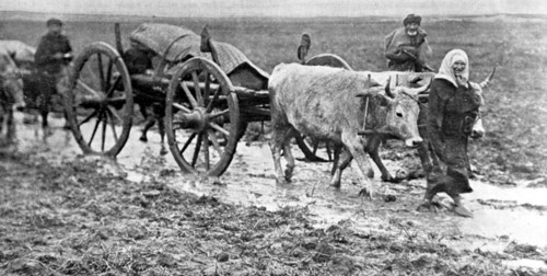 Turkish people fleeing the advancing Bulgarian army (1912)
