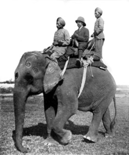 King George V of England, emperor of the Indies, hunting tiger and rhinoceros on the grounds of the  maharajah of Nepal, in 1912.