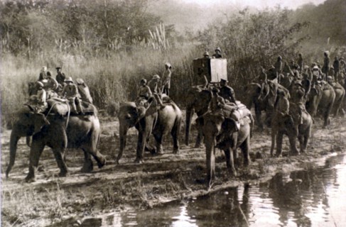 Prince of Wales hunting tiger in Nepal, 1922.