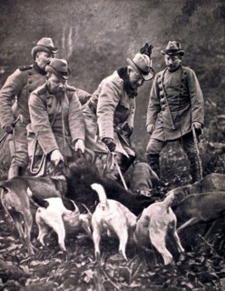 L'empereur Guillaume II à la chasse au sanglier, en Allemagne (1910)