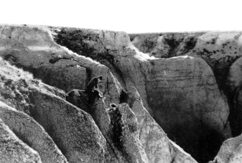 Mongolie. Expédition du Dr Roy Chapman Andrews dans le désert de Gobi (1928)
