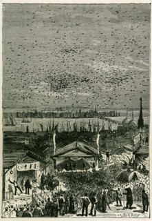 Jules Verne, "Michel Strogoff. De Moscou à Irkoutsk" (illustration)