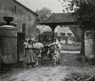 Saint-Léger-en-Yvelines, school farm