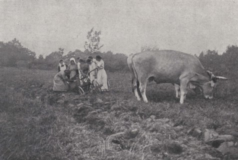 Digging a furrow at a school farm