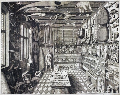 Worm, First page of Museum Wormianum