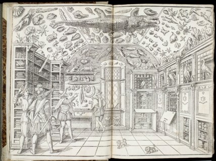 Imperato, Ferrante in his cabinet of curiosities