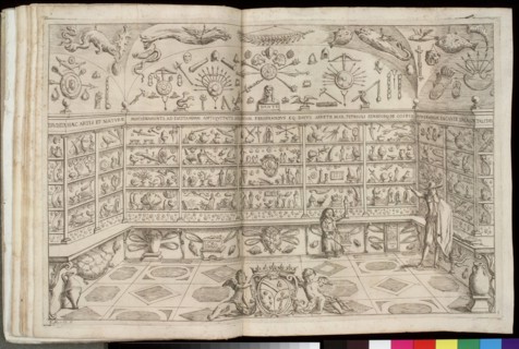 Legati, Cabinet of curiosities