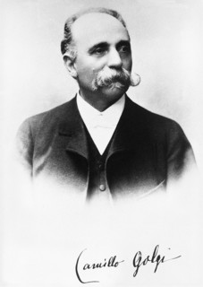 Golgi, Camillo, Italian physiologist