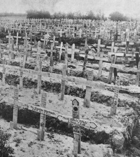 Death toll after four years of absurd killing