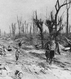 Bataille de la Somme, 1916