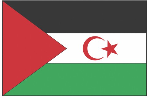 Drapeau du Sahara (ancien Sahara occidental)