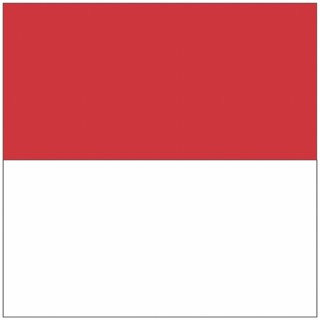 Flag of the canton of Solothurn