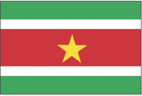 Flag of Surinam