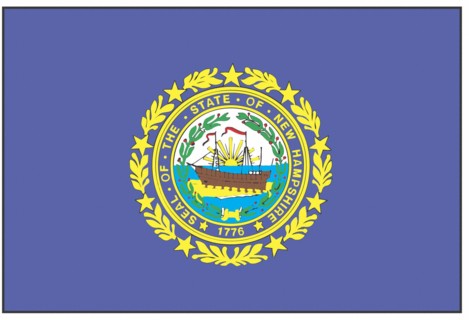 New Hampshire state flag