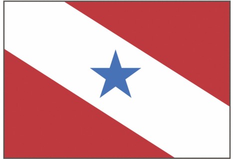 Drapeau de l'Etat du Para