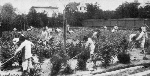 A Berlin, des pensionnaires de la "Maison de protection des enfants"