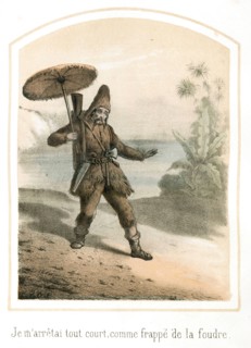 The Adventures of Robinson Crusoe, 1876