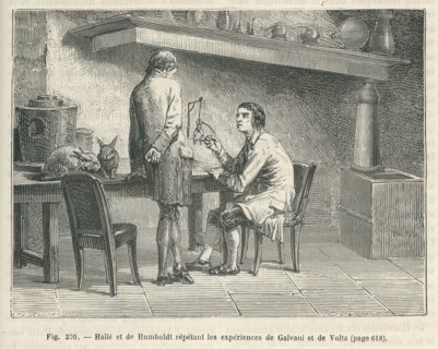 Les Merveilles de la science, 1867