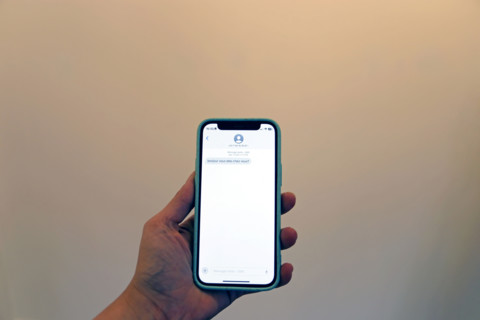 Hand holding a telephone