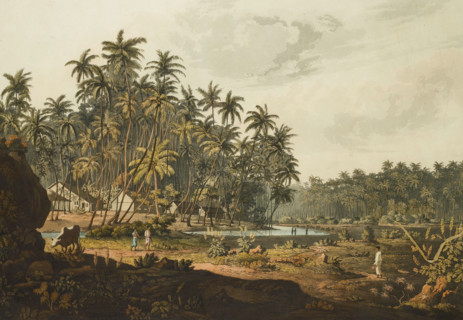 Vue près de Point de Galle, Ceylan