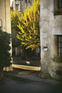 Chambois (Orne)
