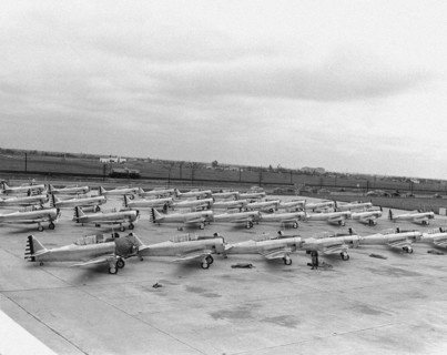 American North American T-6 Texan or Harvard training planes