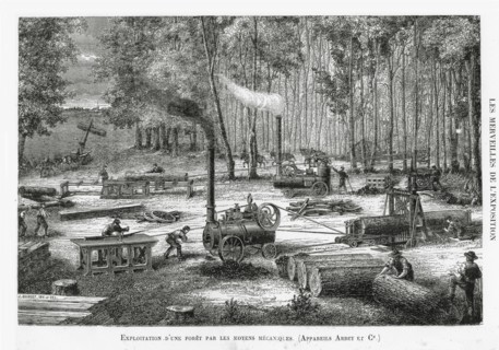 Exploitation of a forest with agricultural machines, 1878
