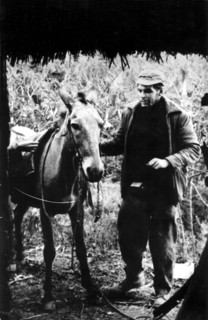 Le Che Guevara (1928-1967) dans la Sierra