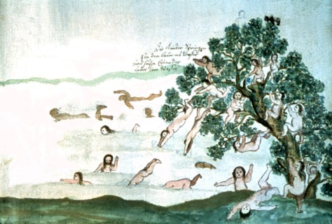 Zwettler Codex : vie des indiens Guaranis vue par un père jésuite