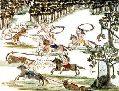 Zwettler Codex. Vie des indiens Guaranis vue par un père jésuite
