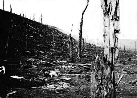 Douaumont. Le ravin de la mort