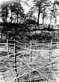 Bois de la Génerie... fils de fer, blochaus de mitrailleuse