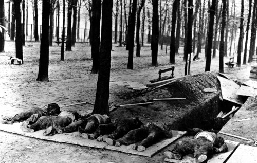 Liberation of France: Peace officers shot by German soldiers