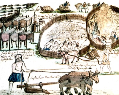 Illustration de Florian Baucke (1749-1767). Zwettler Codex. Vie des indiens Guaranis vue par un père jésuite