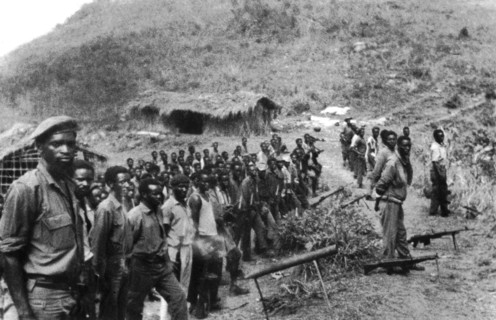 Congolese revolutionary army