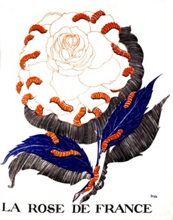 Dawing by Paul Iribe, 'The rose of France' eaten by worms