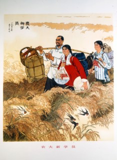Traditional Chinese style, Leaving for the Institute of Agronomy