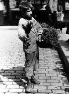 Photo de Eugène Atget. Marchand d'herbes, vers 1900