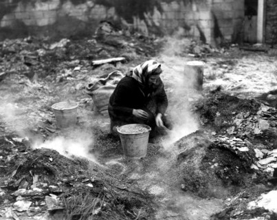 Belgian woman picking up cereals in a destroyed barn, 1944