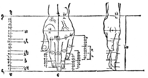 Drawing and proportion of hands