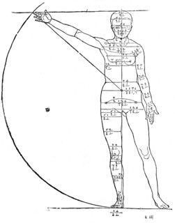 Proportions of a woman