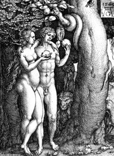 Original Sin