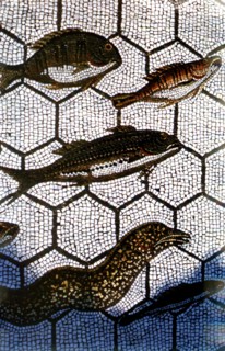 Mosaïque romaine. Poissons