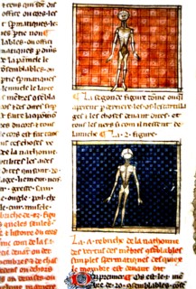 Manuscrit médical