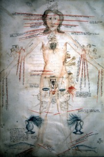 Medical manuscript