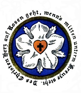 Rose de Luther
